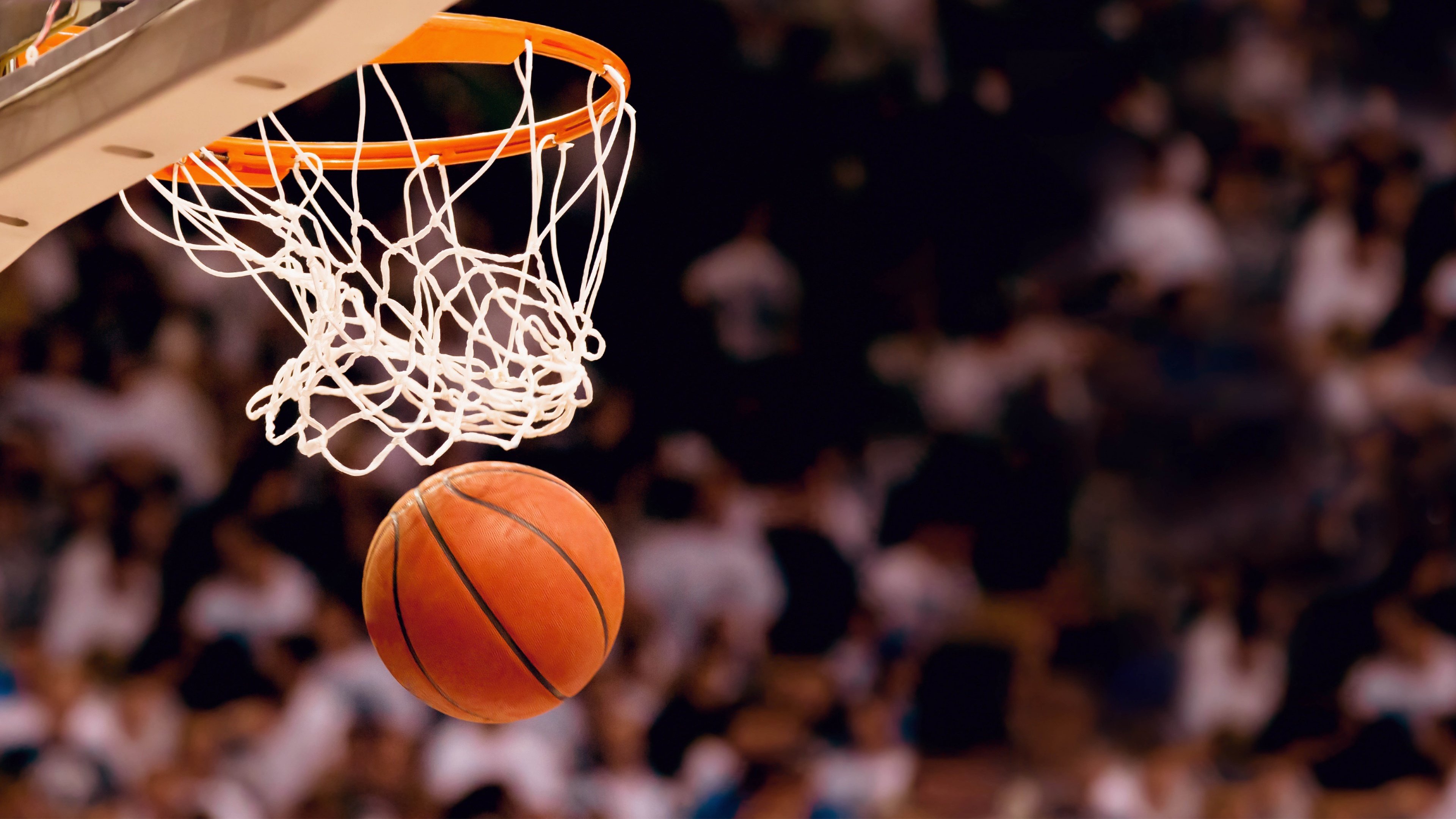 开云体育-单刀魔咒再现！阿森纳门神屡拒拜仁致命一击，枪手逆袭最大功臣浮出水面，单刀魔咒再现！阿森纳门神屡拒拜仁致命一击，枪手逆袭最大功臣浮出水面
